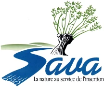 Sava